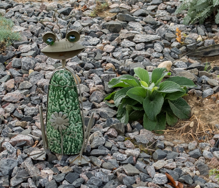 Beware of Frog