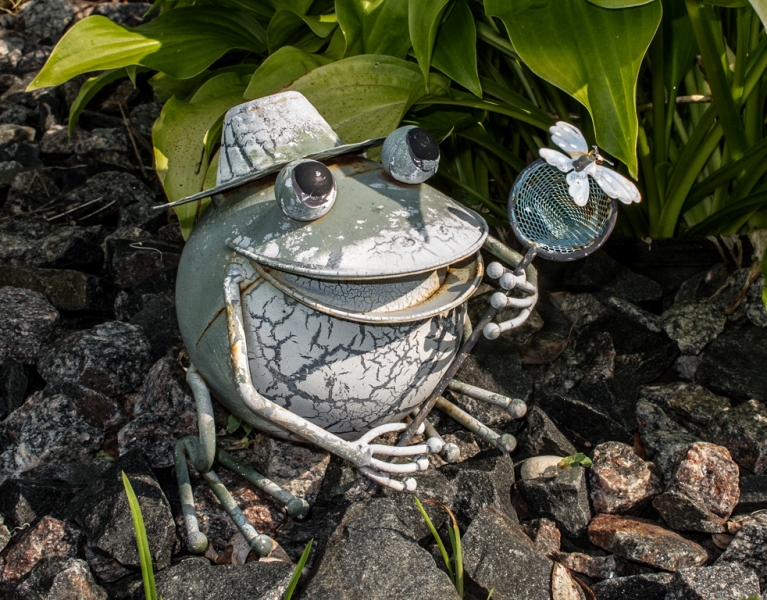 Beware of Frog