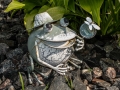 Beware of Frog