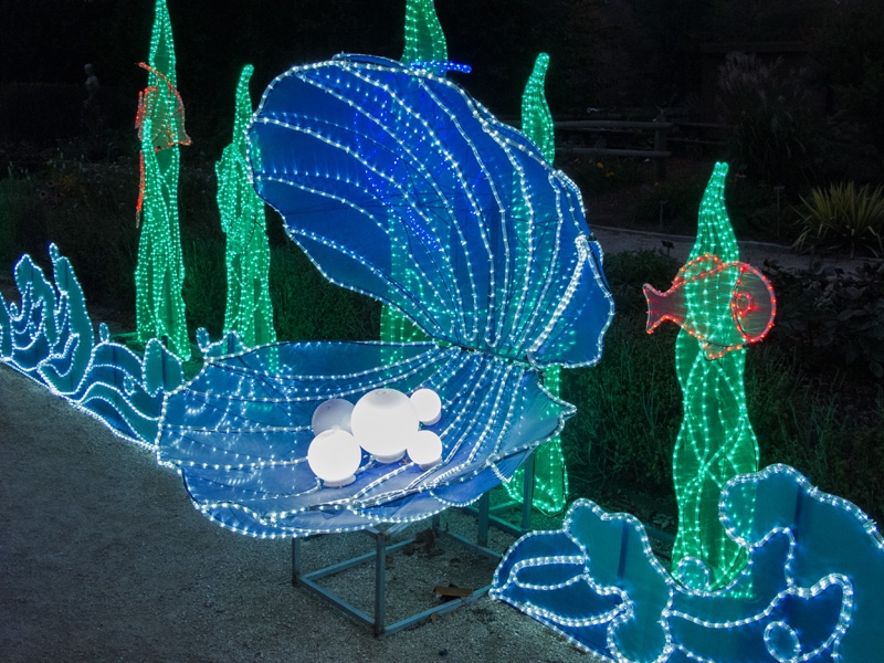 China Lights