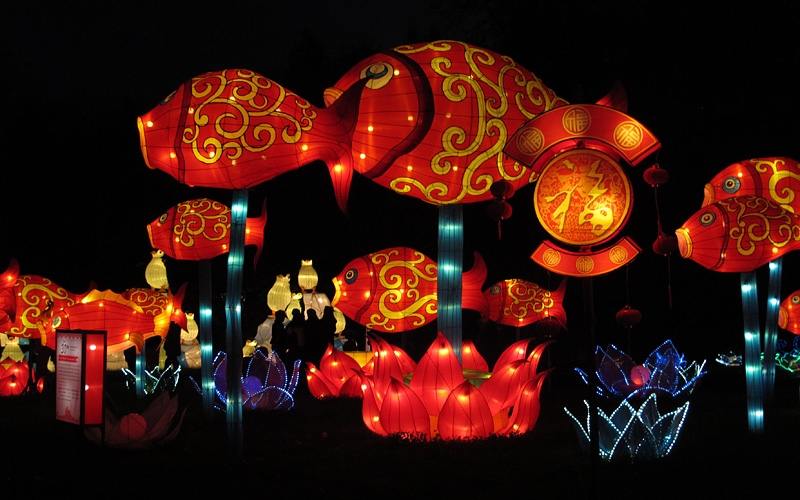 China Lights