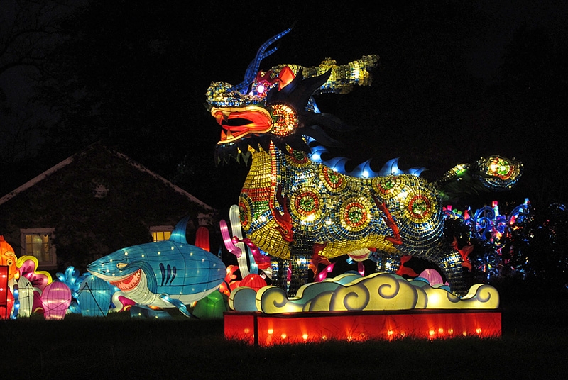 China Lights