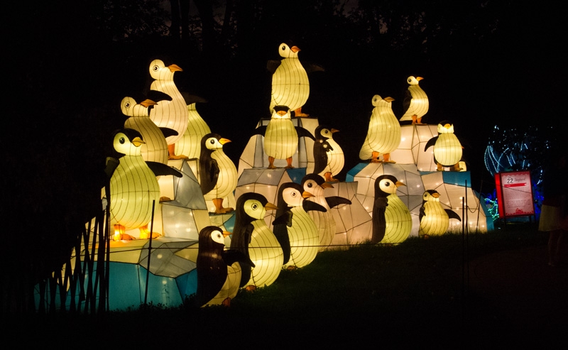 China Lights