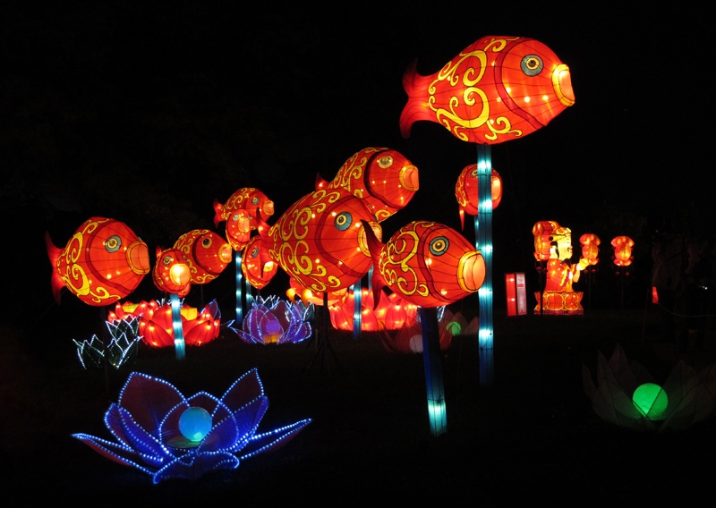 China Lights