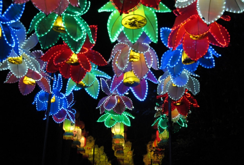 China Lights