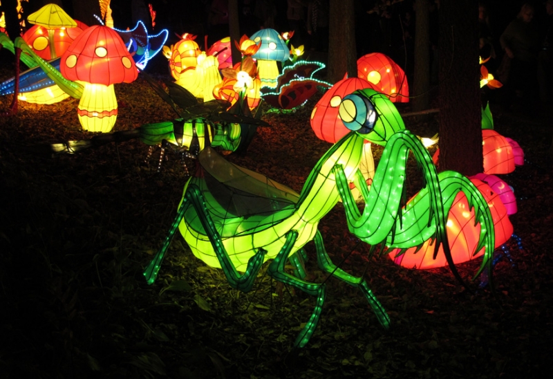 China Lights