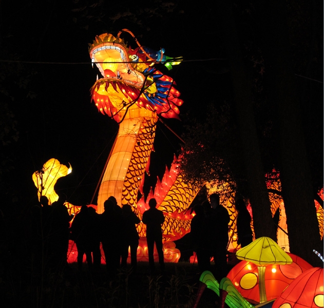 China Lights