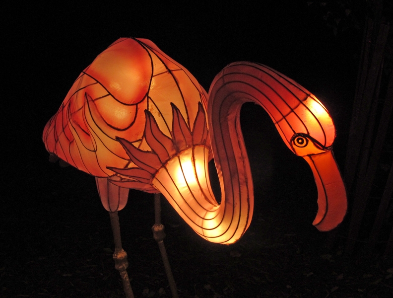China Lights
