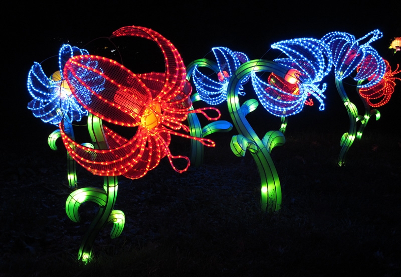 China Lights