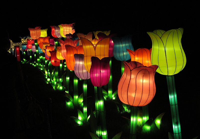China Lights