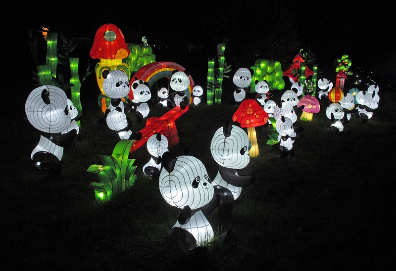 China Lights