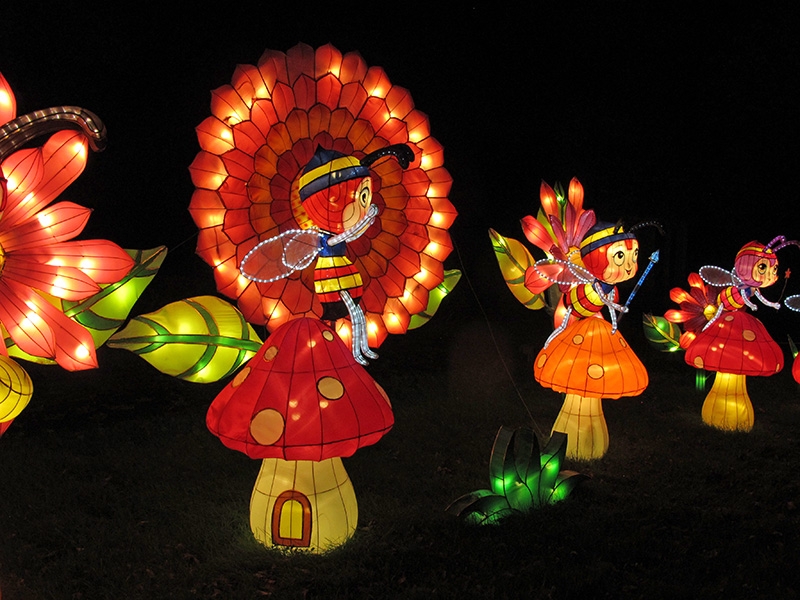 China Lights