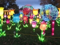 China Lights