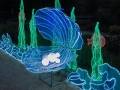 China Lights
