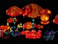 China Lights