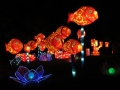 China Lights