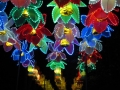 China Lights