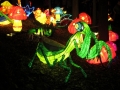 China Lights