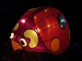 China Lights