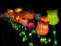 China Lights