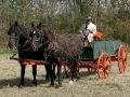 Old Wade House Civil War Weekend