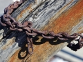 Commercial Fishing Scenes - Sheboygan, Wisconsin