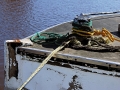 Commercial Fishing Scenes - Sheboygan, Wisconsin