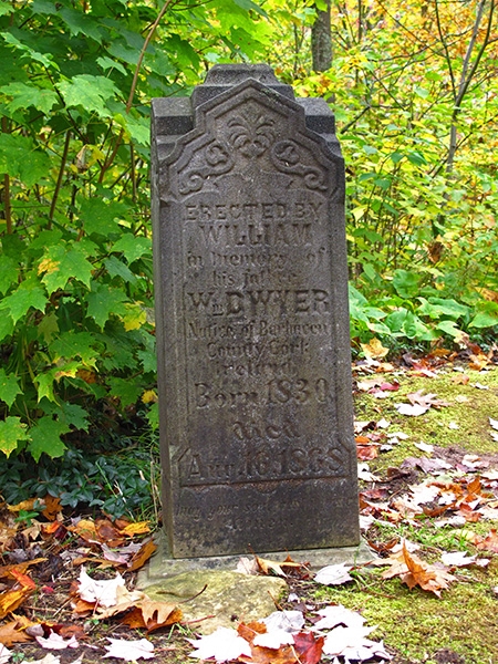 Irish Hollow Cemetery