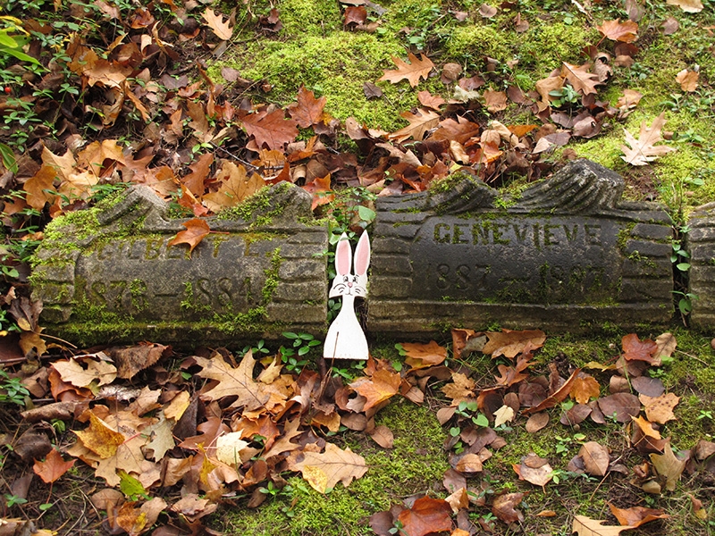 Irish Hollow Cemetery
