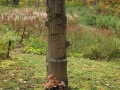 Irish Hollow Cemetery