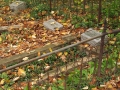Irish Hollow Cemetery