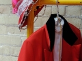 Circus Costumes