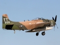 EAA Air Show