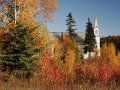 Church of the Assumption, Phoenix, Michigan - Keweenaw County