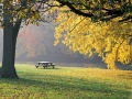 Foggy Morning at Waubedonia Park - Ozaukee County, Wisconsin