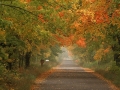 Scenic Backroads - Alger County, Michigan