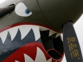 EAA Airventure - Curtiss P-40 Kittyhawk