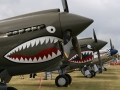 EAA Airventure - P-40 Kittyhawks and P-51 Mustangs
