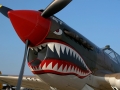 EAA Airventure - Curtiss P-40 Kittyhawk