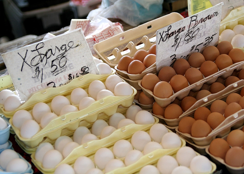 Fresh Eggs