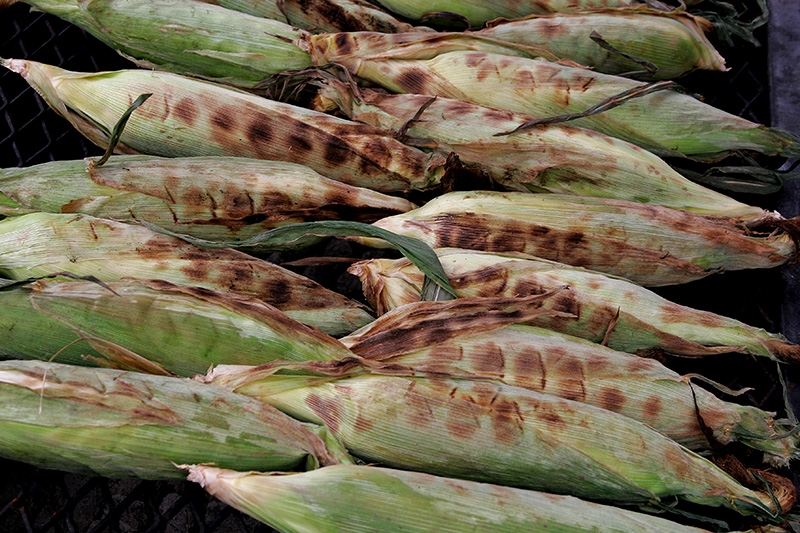 Roasting Corn