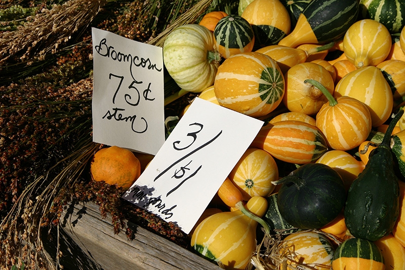 Broomcorn and gourds