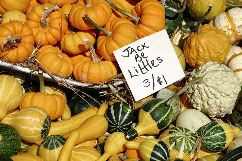 Jack Be Littles