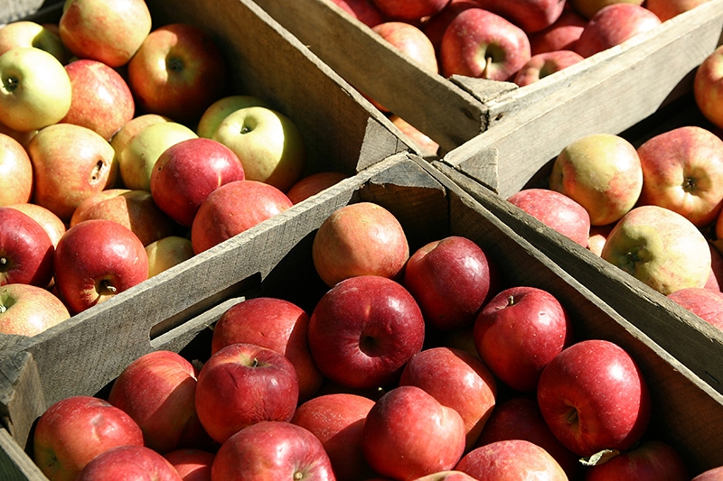 Fresh apples by the crate