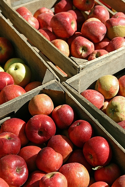 Fresh apples by the crate