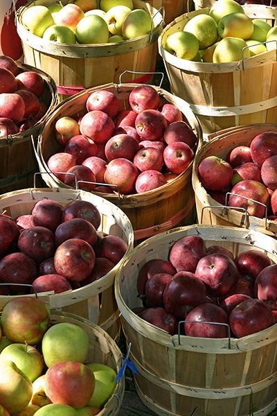 Fresh apples by the bushel