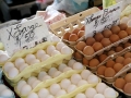 Fresh Eggs