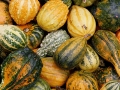 Assorted Gourds