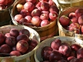 Fresh apples by the bushel