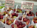 Fresh Apples